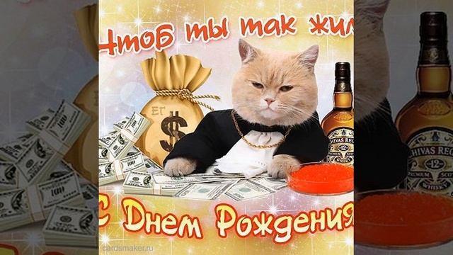 Открытка на 35 лет с котом и деньгами смотреть онлайн