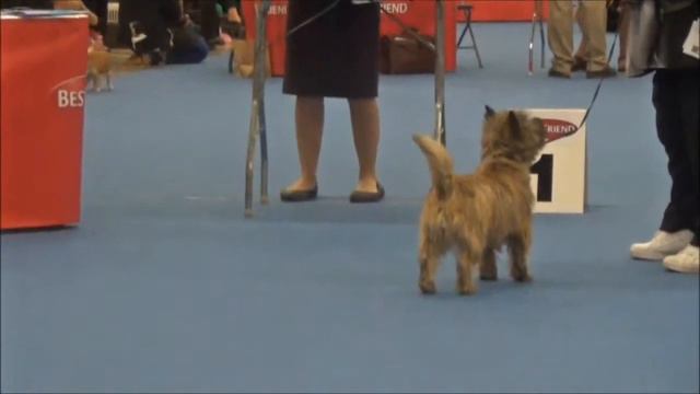 Helsinki Winner 2013