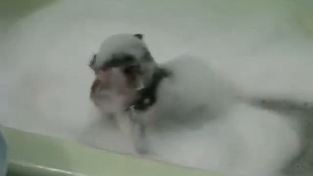 зося вванной с музыкой смотреть онлайн