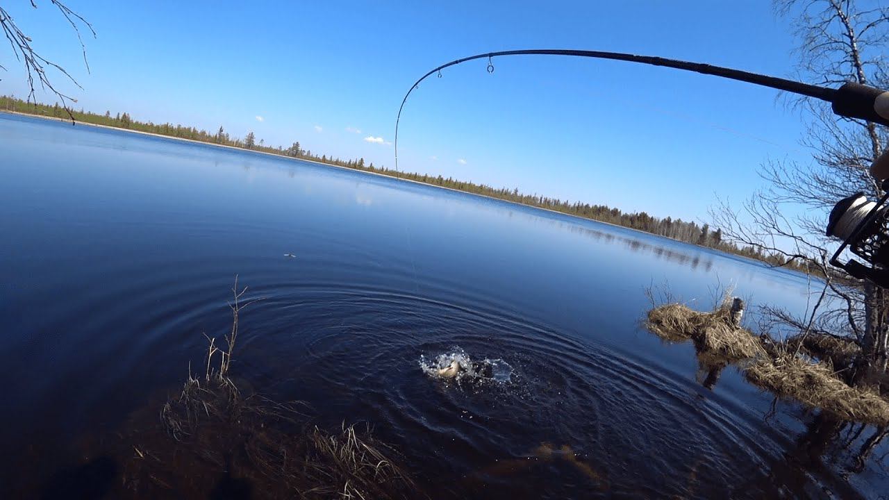 Мы забрались в самую дичь на фишкаяке эво. Рыбалка как в аквариуме. смотреть онлайн