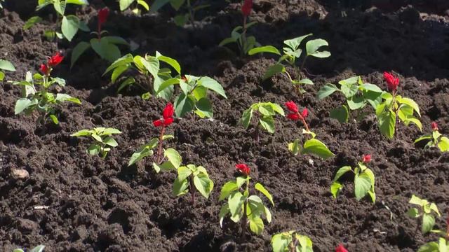 В Пестречинском районе ведутся работы по благоустройству. смотреть онлайн