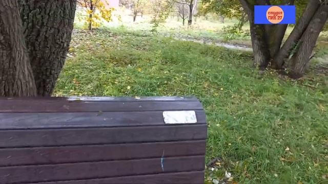 5.10.2023. Аллея в честь 70-летия Краснофлотского района. Ул. Руднева. Хабаровск.