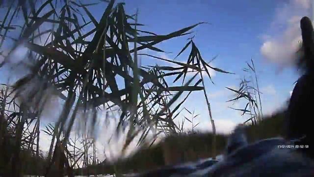 Район Темиртау -Токаревка Подводная охота на щуку Лето 2015 смотреть онлайн