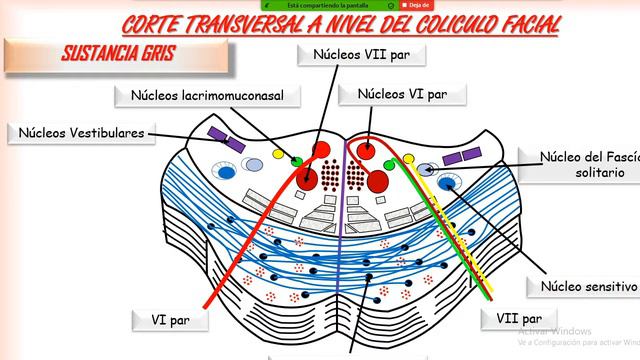 configuracion interna protuberancia смотреть онлайн
