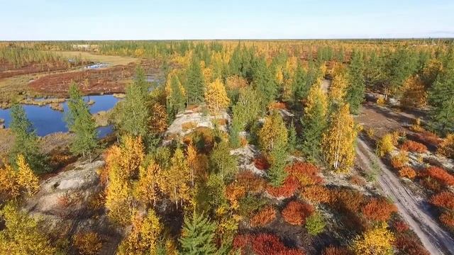 видео осенней тундры под песню одинокие женщины смотреть онлайн