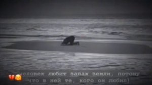 как же люди любят исчезать особенно в тот момент когда ты к ним привязался.