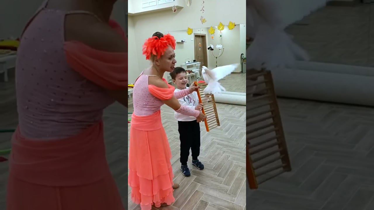 Цирковое представление в детском саду смотреть онлайн