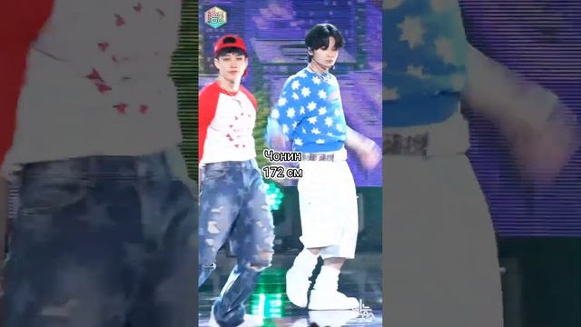 самый высокий/низкий участник stray kids (идея не моя) #kpop #skz #s#врек #txt смотреть онлайн