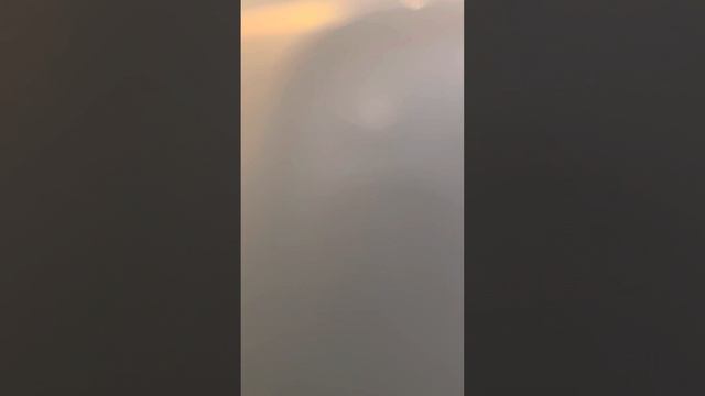 Артикул 113164561 смотреть онлайн