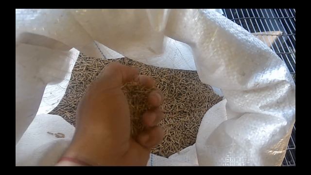 Комбикорм для цыплят Гранула 1,5 мм! Feed for chickens Granule 1.5 mm! смотреть онлайн