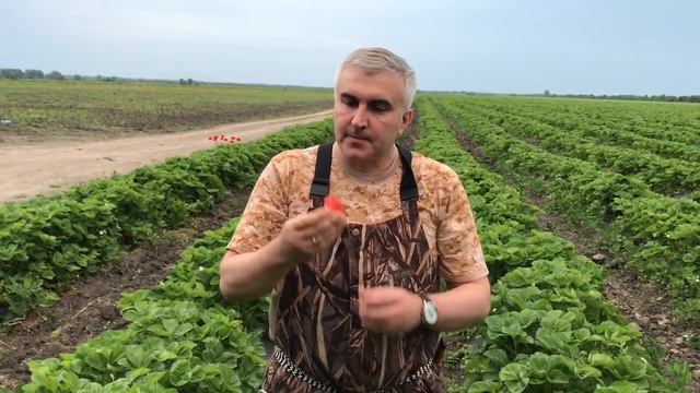 ГДЕ РАЙ НА ЗЕМЛЕ? КОНЕЧНО В КАБАРДЕ! смотреть онлайн