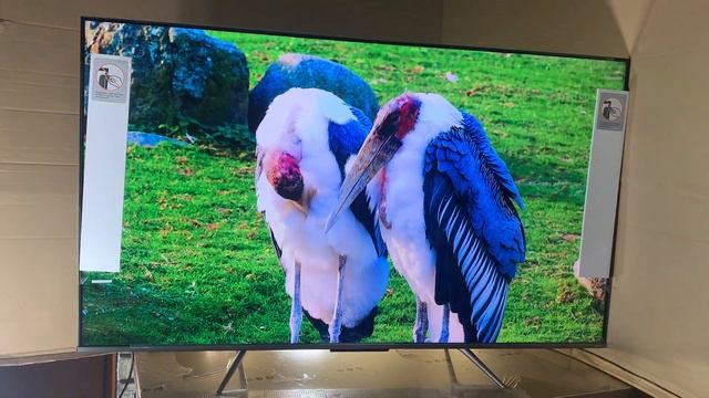 топ телевизор