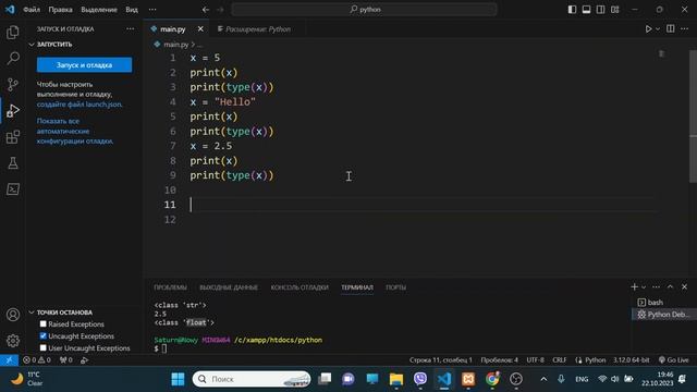 Урок 307. Переменные в Pyphon (динамическая типизация) смотреть онлайн