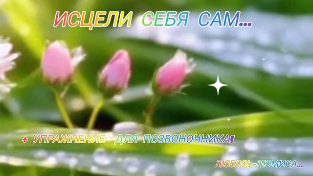 Исцели себя сам  + упражнение для позвоночника. Любовь-ЛюМиСа