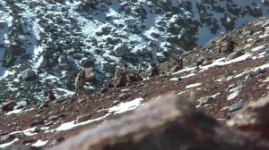 ⚡️🎬 Экстримальная охота на козерога 👉  в горах Памира