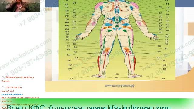 Лузгинова С.В. 2018-01-09 КФС и информационные зоны органов на теле человека» #кфскольцова смотреть онлайн