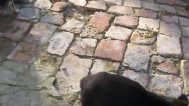 Славянск /ВАСИЛИСА ТУТ КАК ТУТ !!! / Славянск сейчас смотреть онлайн
