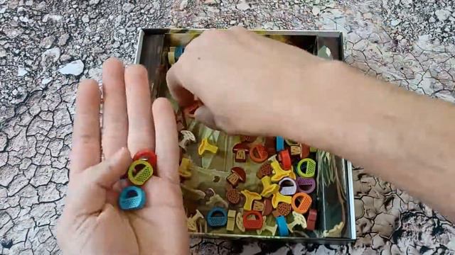 Wonder Woods UNBOXING in 2 minutes смотреть онлайн