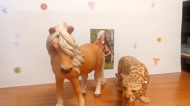 Как не надо снимать с фигурками животных смотреть онлайн