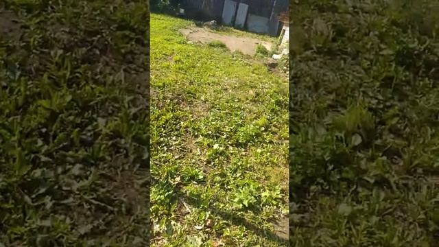 Будущий фундамент 6х8 под дом из бруса смотреть онлайн