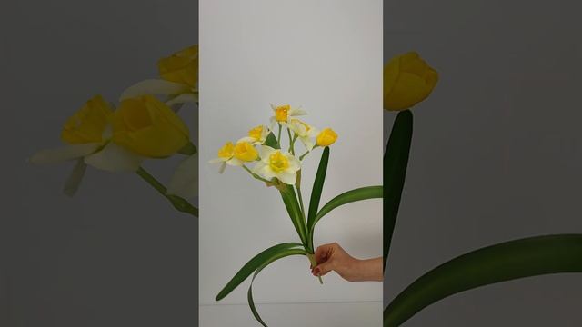 Нарцисс букетный смотреть онлайн