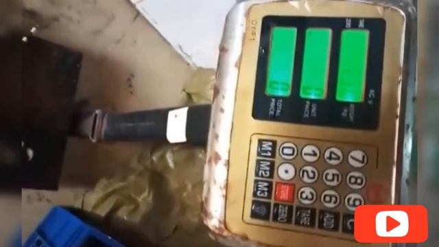 Duada International Trade - Seafood Live смотреть онлайн