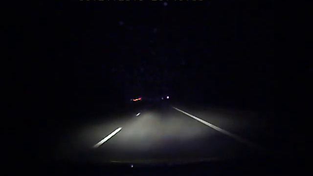 Осторожно!!! Дикие звери на дорогах смотреть онлайн