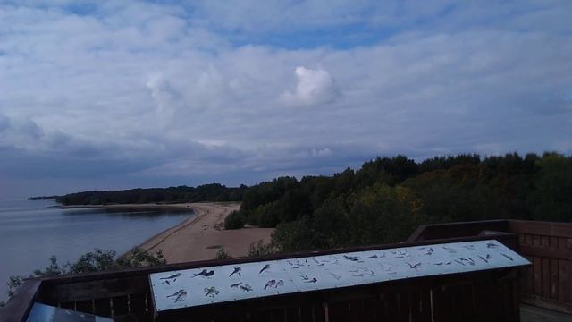 вид финского залива с обзорной вышки на острове Котлин . смотреть онлайн