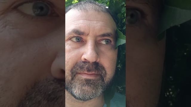 Стих. Кстати... Автор Ирина Самарина- - Лабиринт смотреть онлайн