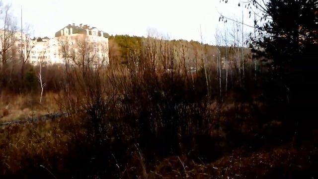 Снег растаял. Теплынь какая! Середина ноября, поздняя осень. Гуляю.