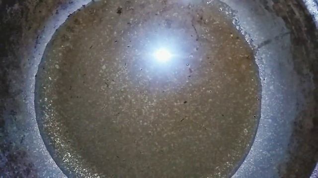 Вкусные и сочные куриные крылышки смотреть онлайн