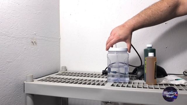 Phyto Culture - Learn About Growing Phytoplankton For Your Reef Tank смотреть онлайн