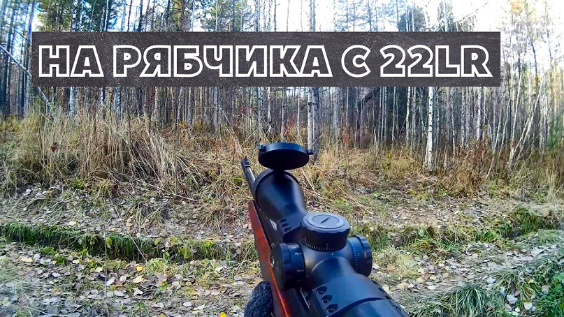 Повезло в этот раз! Охота на рябчика с мелкашкой смотреть онлайн