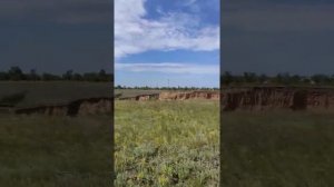 Березовка Саратовская область июнь 2020г.