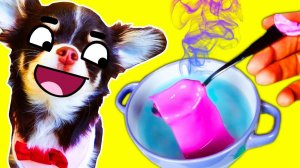 Кто ворует подарки? 🎁 Секретные эксперименты с питомцами 🐶