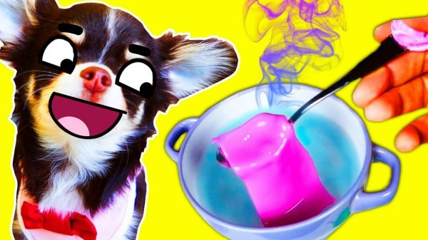 Кто ворует подарки? 🎁 Секретные эксперименты с питомцами 🐶