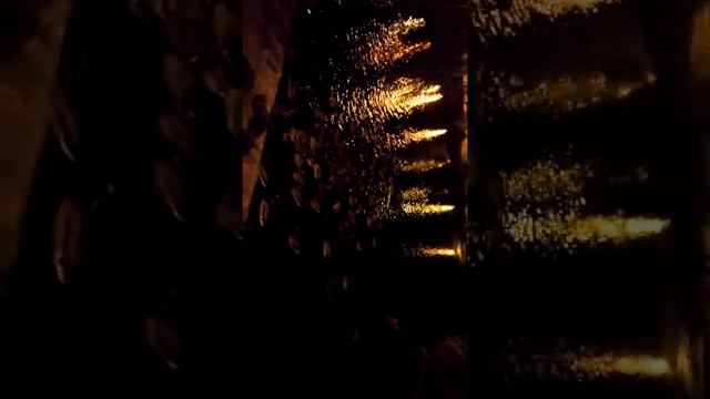 Кормим хлебом уток в парке Глобы! 2019 смотреть онлайн