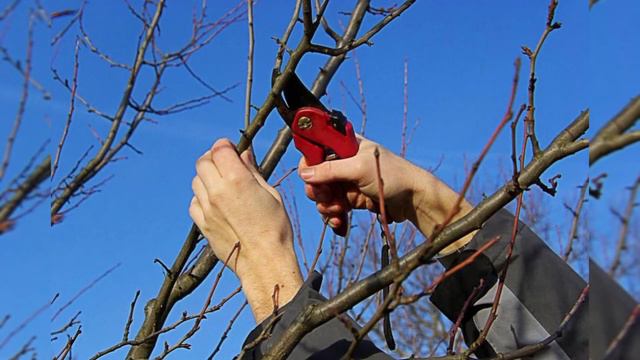 Праця людей навесні - цікаве відео для дітей смотреть онлайн