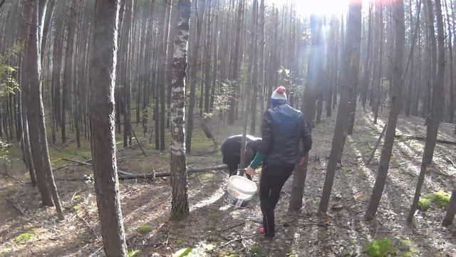 У Брата на даче! Offroad, грибы, лес. смотреть онлайн