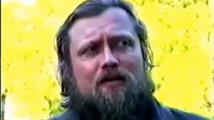 Полынь Горькая   лечебные свойства