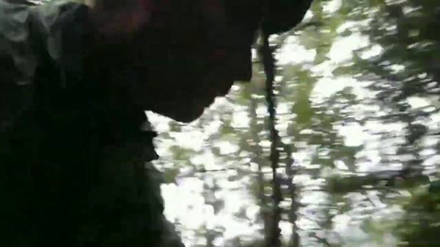 КОШУ БІЛІ ГРИБИ В ЛІСАХ КАРПАТ. МІСЦЯ ЗБОРУ БОРОВИКІВ.