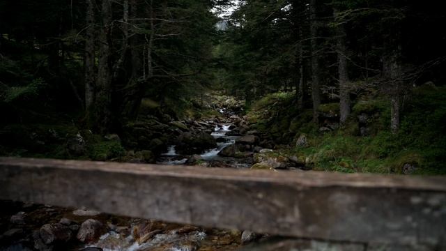 Moutain Memories | Sony A7 IV Cinematic - S-cinetone смотреть онлайн
