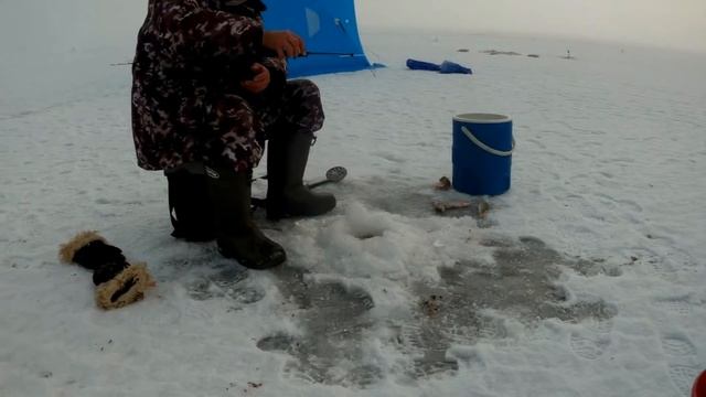 Ловля ЩУКИ на ЖЕРЛИЦЫ,замечательный клев на оз. КОКАЙ.Коргалжынский Заповедник. смотреть онлайн
