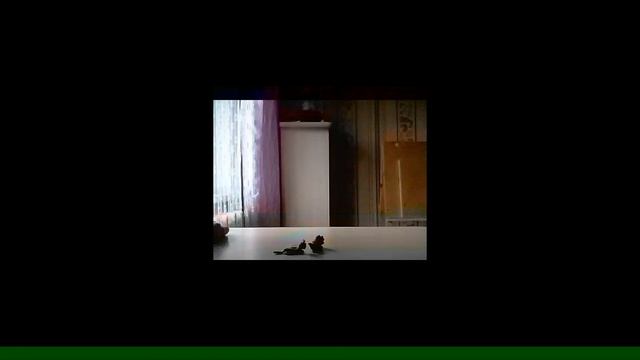 Что с Березовиком? смотреть онлайн