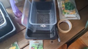 Лук порей Карантанский. Посадка семенами.