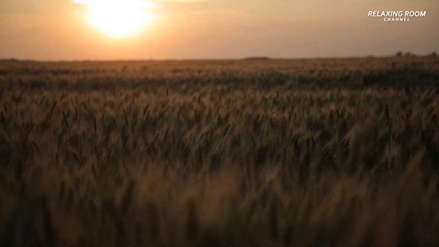 Молитвы Вечерние смотреть онлайн