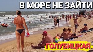 25 августа 2024 г. #Голубицкая. Медузы кишат! В море не зайти! Ходить 1.5 км, что бы найти пляж!_