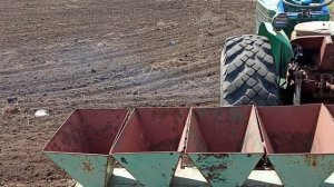 Суданская трава: почему сею 100 кг на гектар?