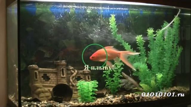 Как добавить анимацию в видео смотреть онлайн
