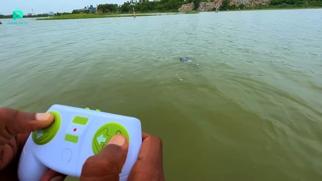 RC Simulation Dino Water High Speed Crocodile Unboxing & Testing - Chatpat toy tv смотреть онлайн